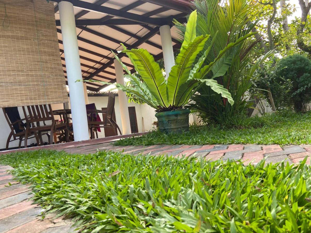 Mirissa Gold Rush Villa Buitenkant foto