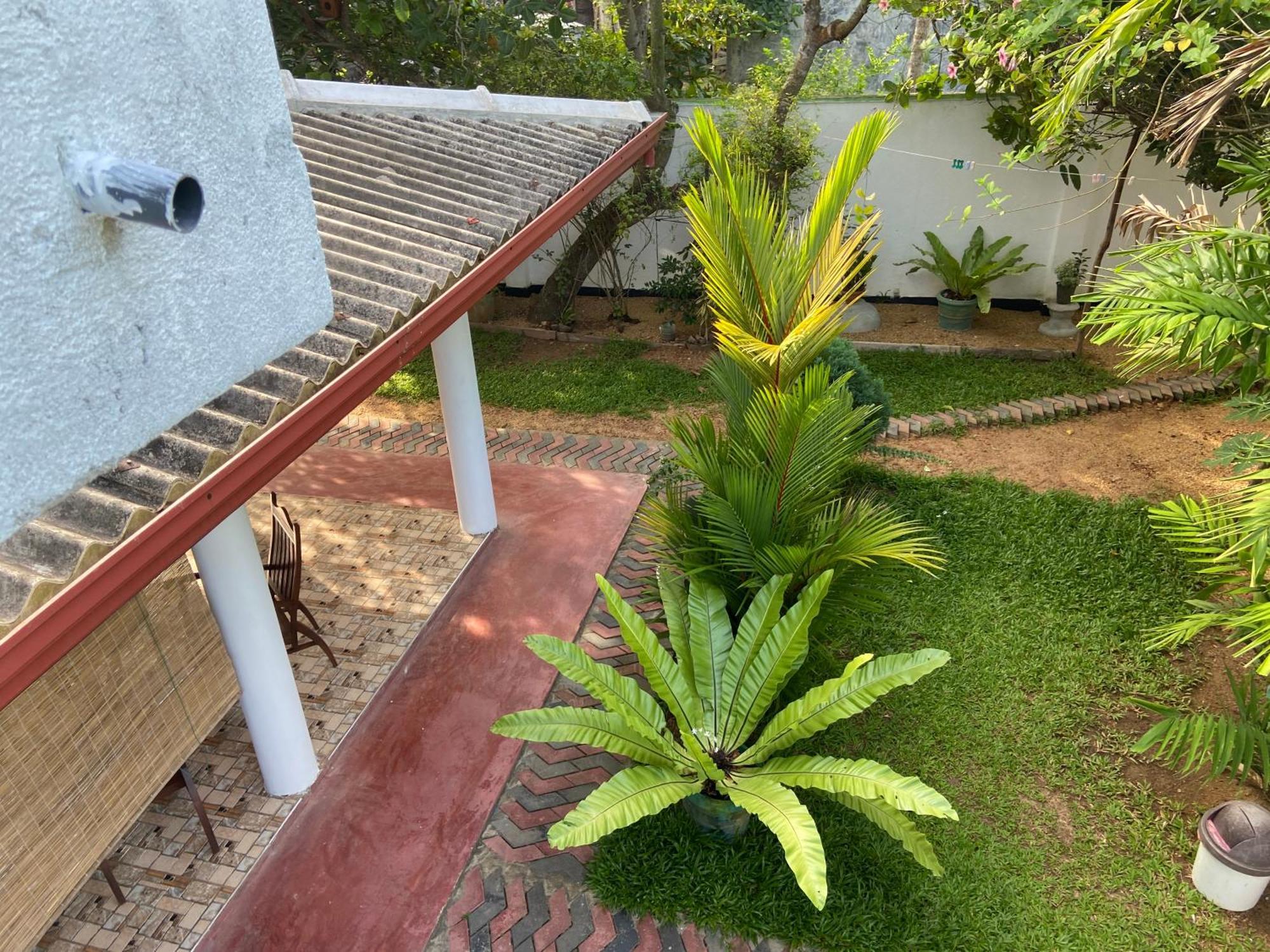 Mirissa Gold Rush Villa Buitenkant foto