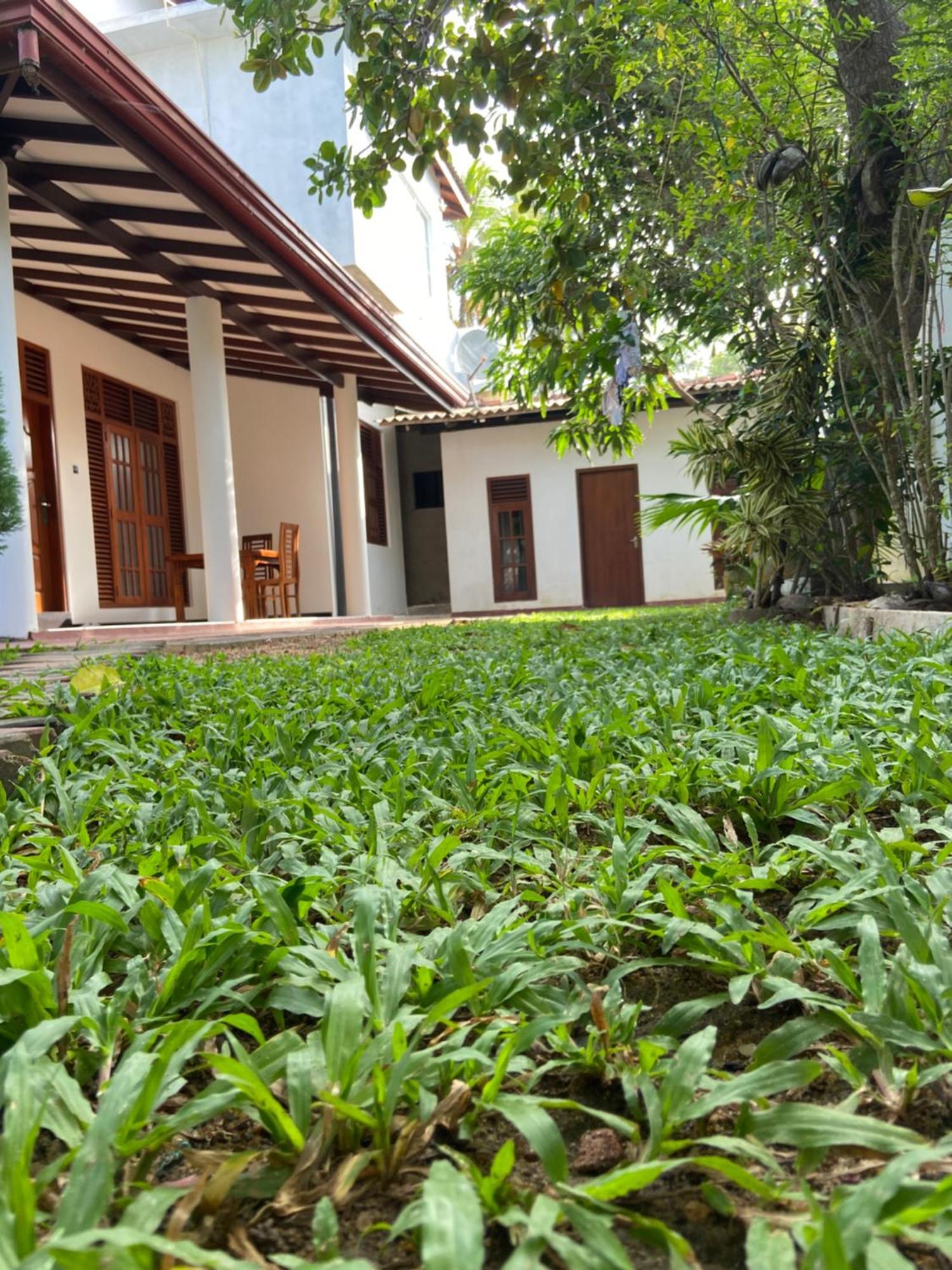 Mirissa Gold Rush Villa Buitenkant foto